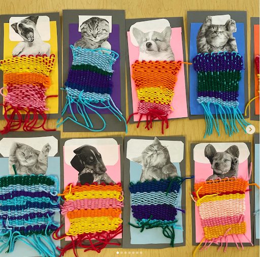 woven pets.png